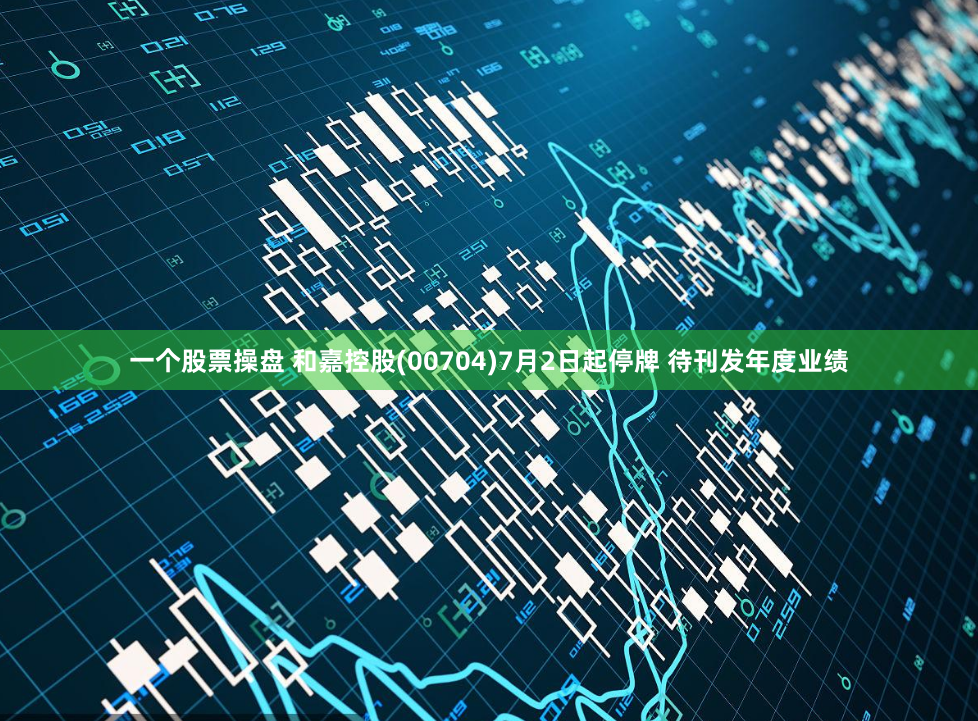 一个股票操盘 和嘉控股(00704)7月2日起停牌 待刊发年度业绩