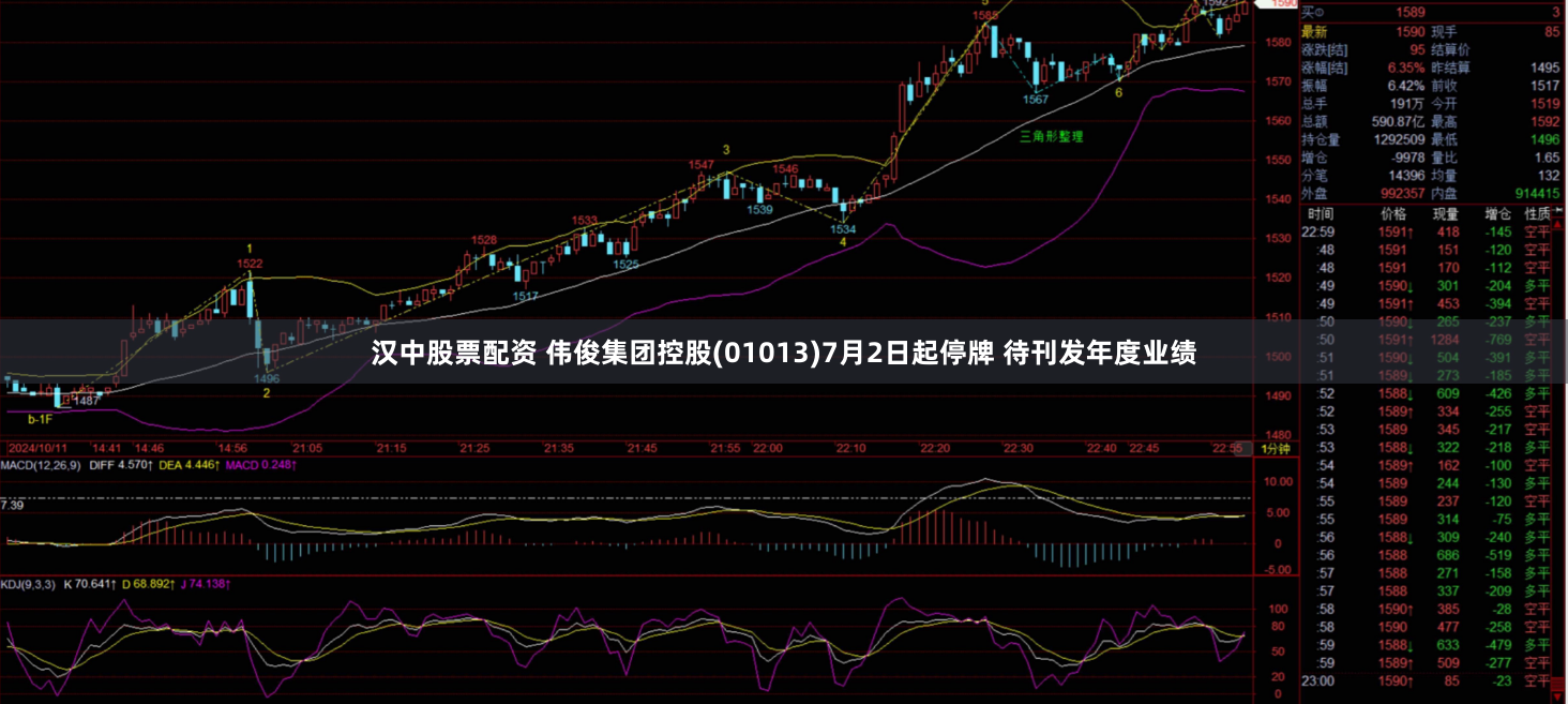 汉中股票配资 伟俊集团控股(01013)7月2日起停牌 待刊发年度业绩